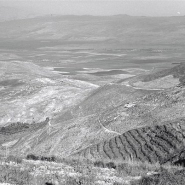 1945. La future forêt de Birya en Galilée. © Avraham Melbsky. KKL-JNF Photo Archive