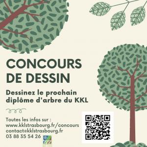 Concours de dessin